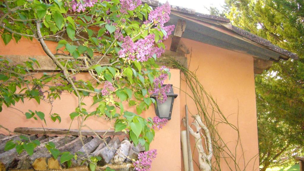موستيه سانت ماري La Maison De Melen المظهر الخارجي الصورة